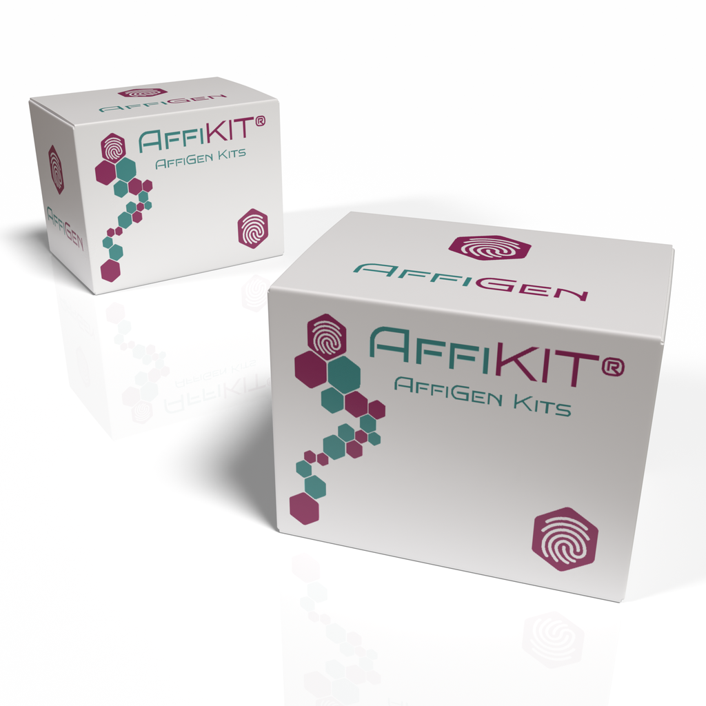 AffiKIT® Yeast One Hybrid (TF-Centered) Vector Kit