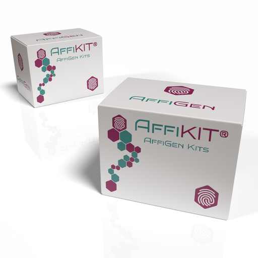 [AFG-TAG-02] AffiKIT® Human Neutrophil Gelatinase-Associated Lipocalin (NGAL) Card