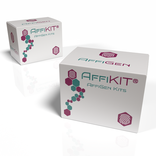 [AFG-SYP-4302] AffiKIT® Human alpha-1-Acid Glycoprotein (Orosomucoid, AGP) Fluorescent Immunoassay Kit